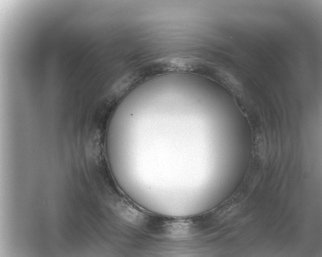 X0000062150318200512161241