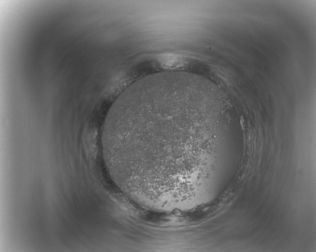 X0000062150319200512161241