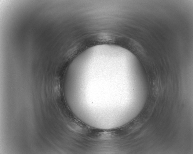 X0000062150320200512161241