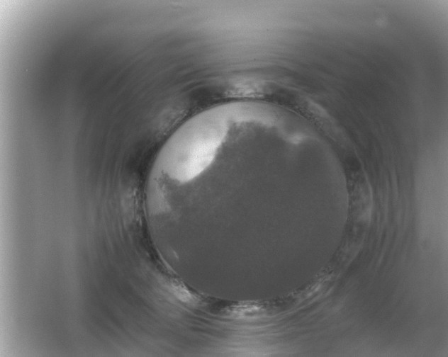 X0000062150322200512161241