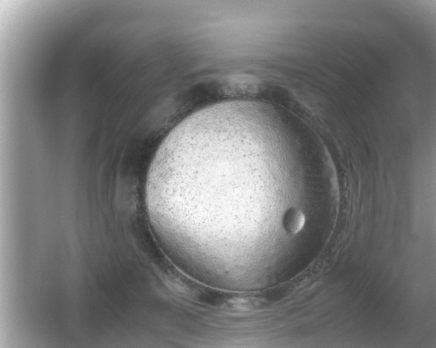 X0000062150323200512161241