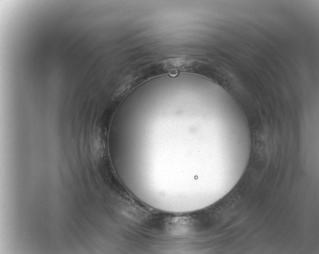 X0000062150324200512161241