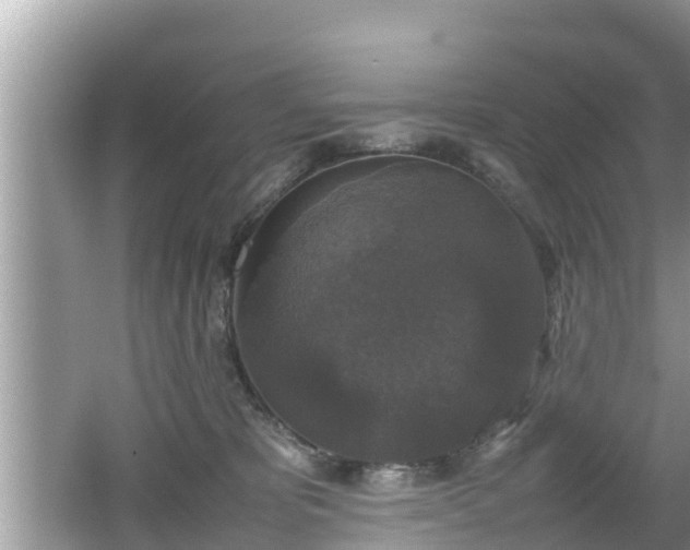 X0000062150325200512161241