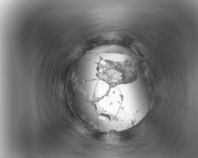 X0000062150327200512161241