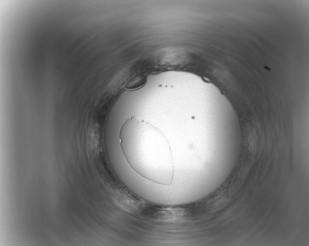 X0000062150328200512161241