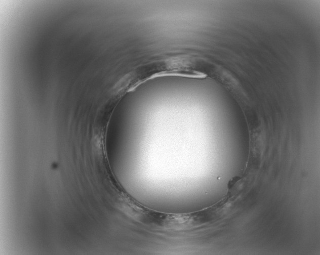 X0000062150329200512161241