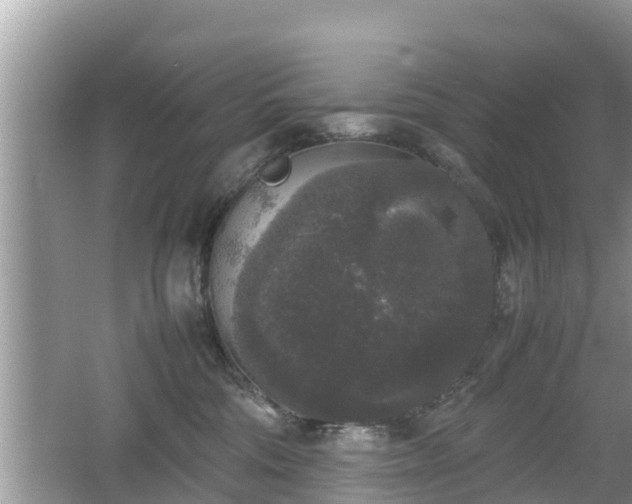 X0000062150330200512161241