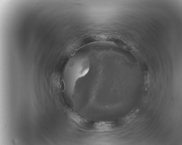 X0000062150331200512161241