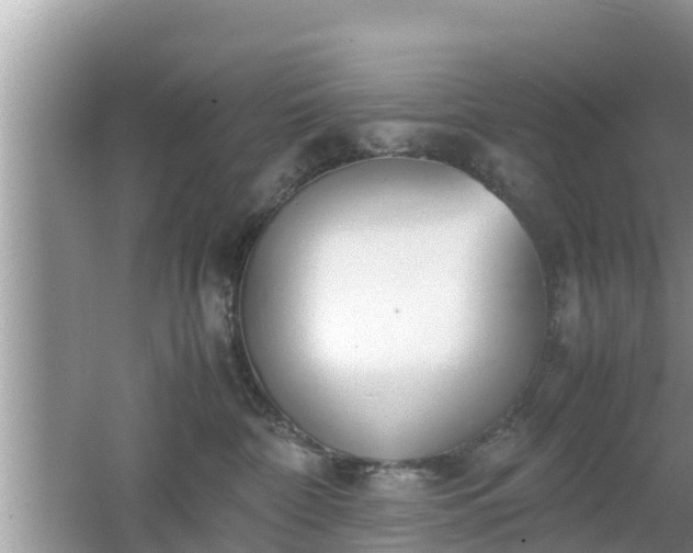 X0000062150332200512161241