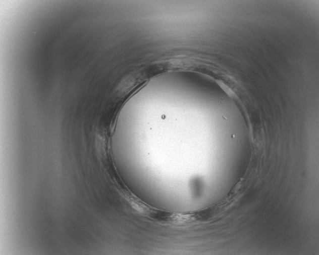 X0000062150333200512161241