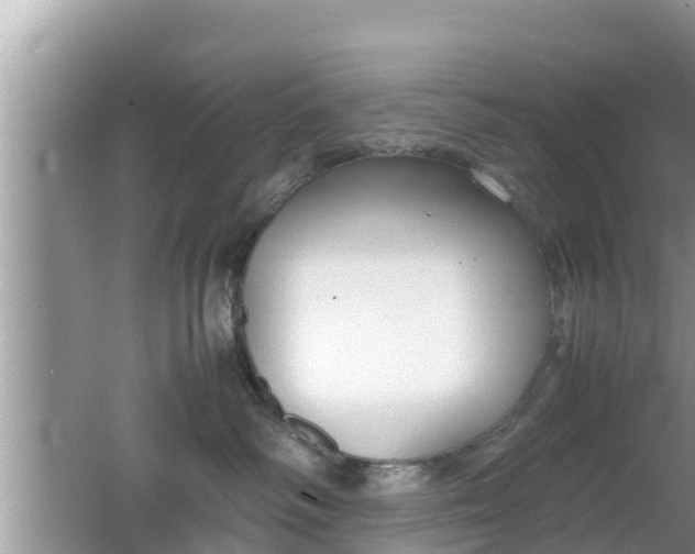 X0000062150334200512161241