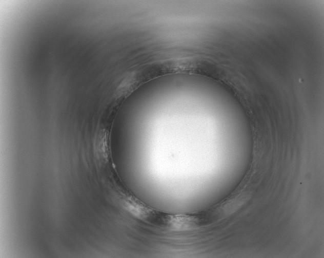 X0000062150336200512161241