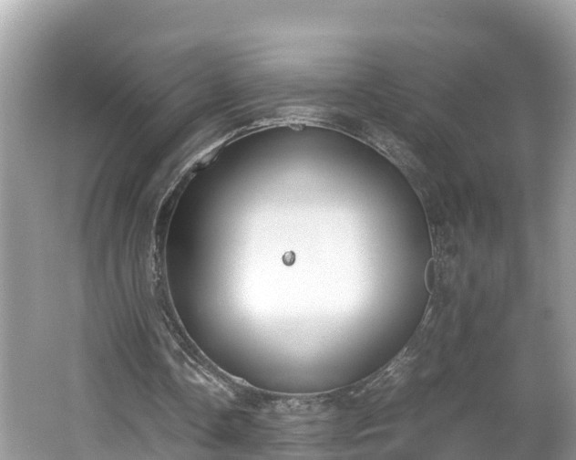 X0000062150338200512161240