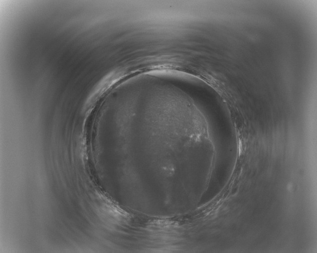 X0000062150339200512161240