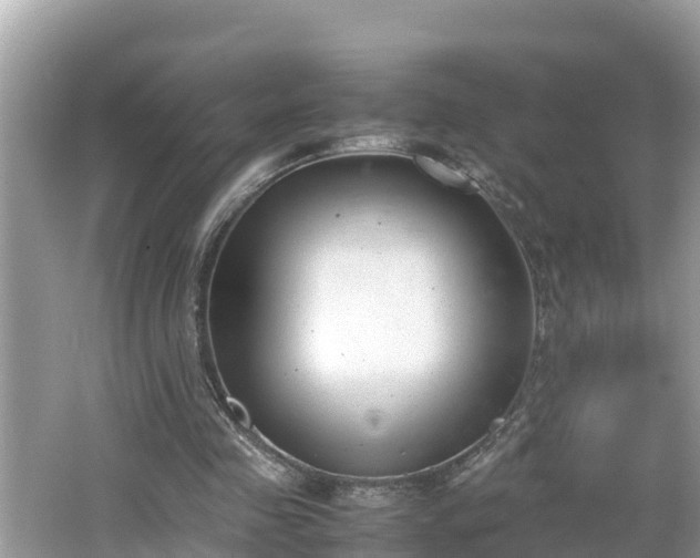 X0000062150341200512161240