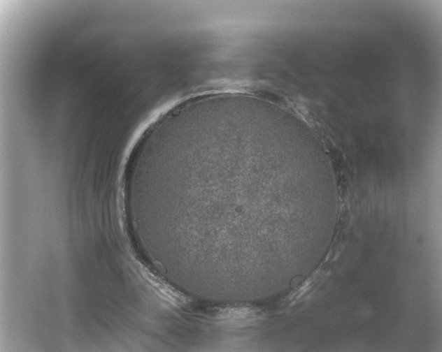 X0000062150342200512161240