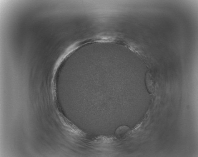 X0000062150343200512161240