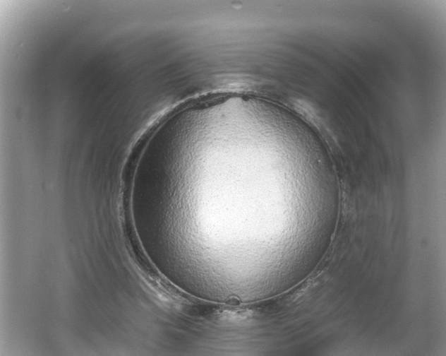 X0000062150346200512161240