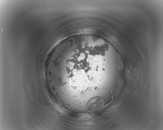 X0000062150347200512161240