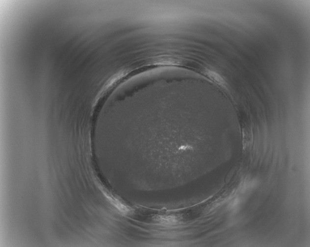 X0000062150349200512161240