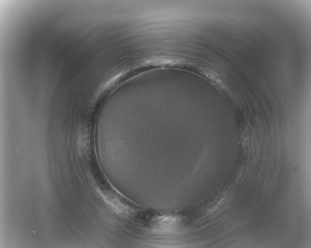 X0000062150352200512161240