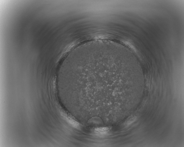 X0000062150357200512161240