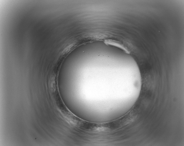 X0000062150360200512161240