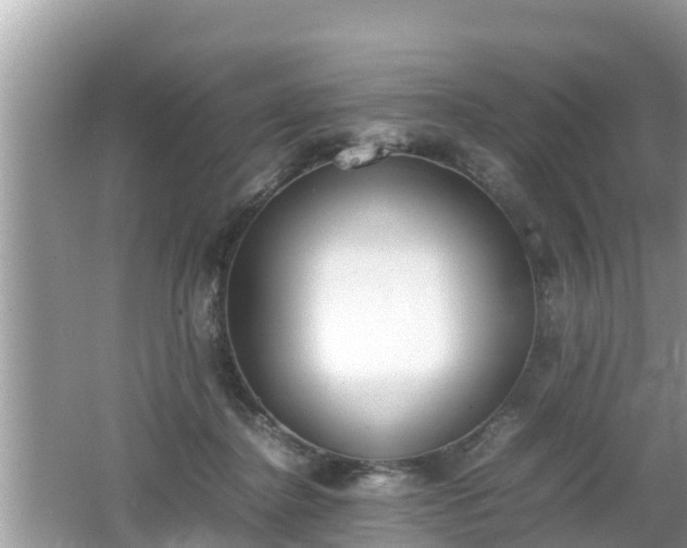 X0000062150364200512161240