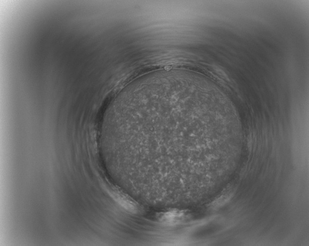 X0000062150366200512161241