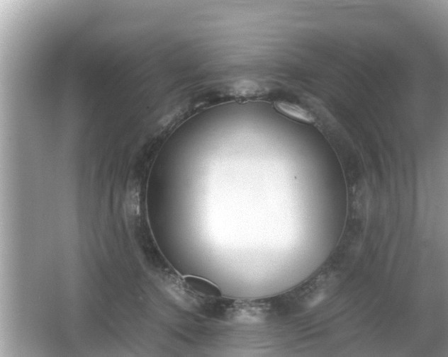 X0000062150368200512161241