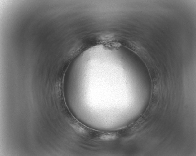 X0000062150369200512161241