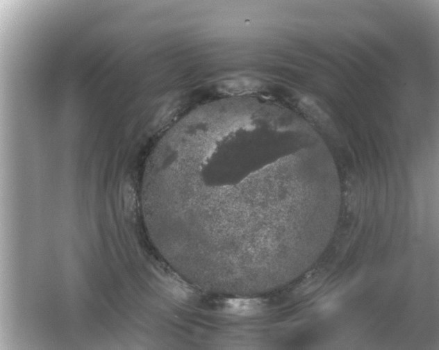 X0000062150371200512161241