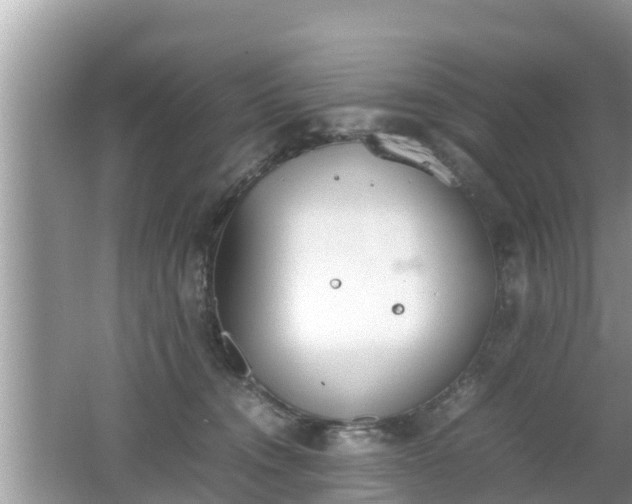 X0000062150372200512161241