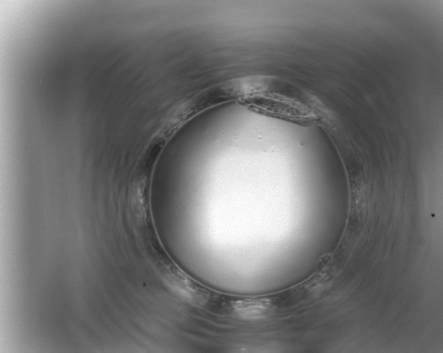 X0000062150373200512161241