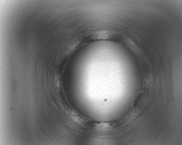 X0000062150374200512161241