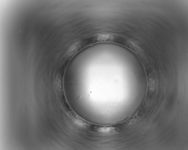 X0000062150375200512161241