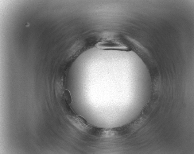 X0000062150376200512161241