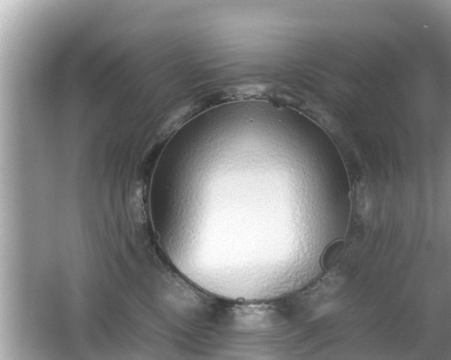 X0000062150378200512161241