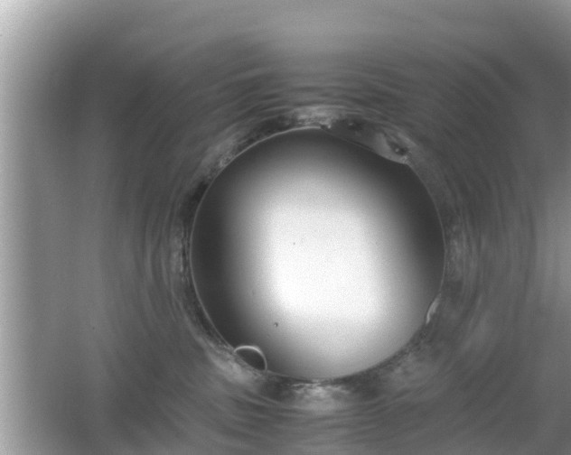 X0000062150379200512161241