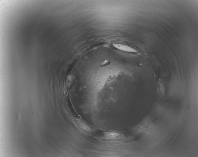 X0000062150380200512161241