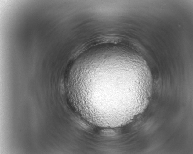 X0000062150381200512161241