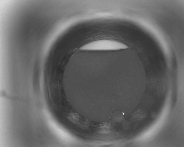 X0000062150382200512161241