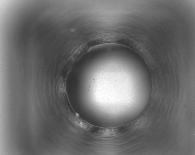 X0000062150384200512161241