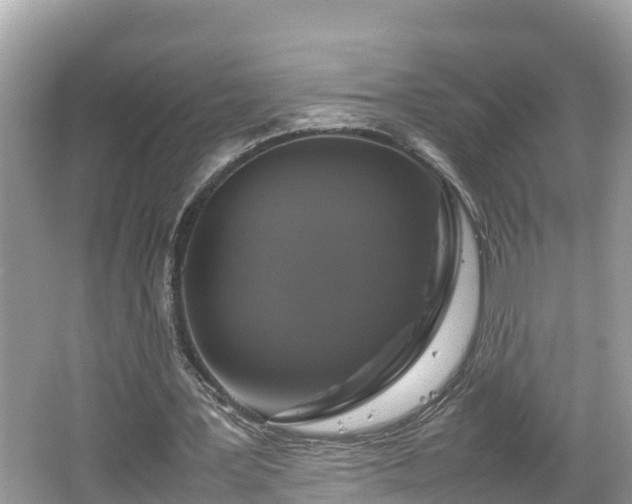 X0000062150387200512161240