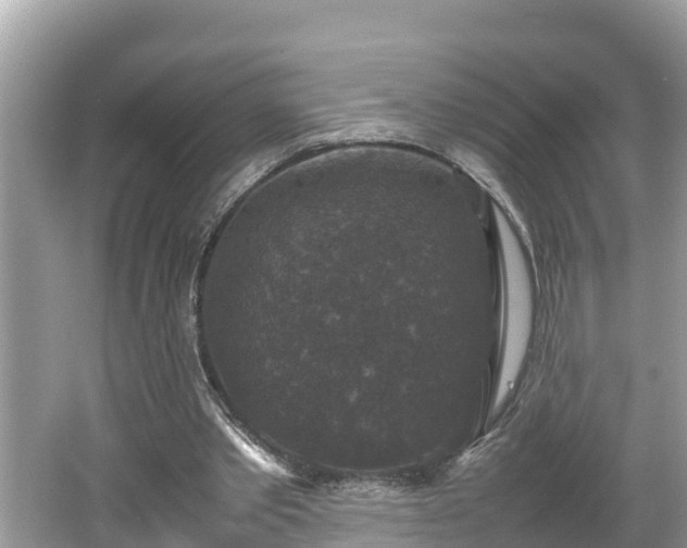 X0000062150389200512161240