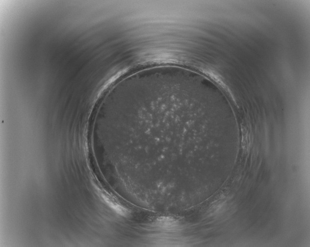 X0000062150390200512161240