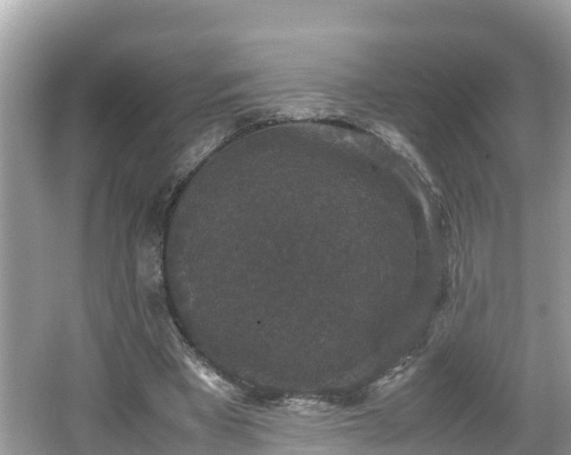 X0000062150393200512161240