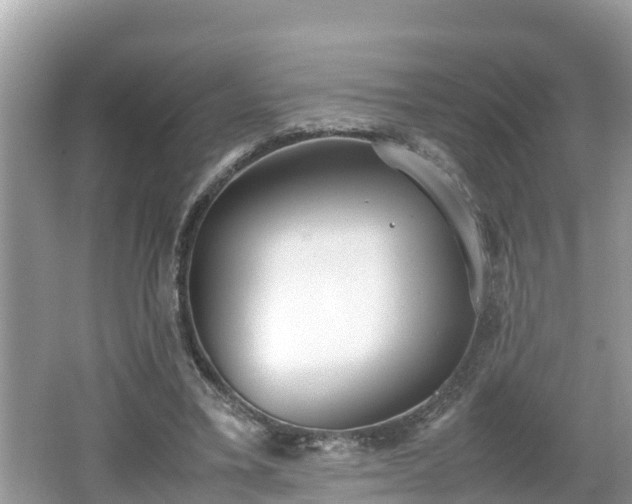 X0000062150395200512161240