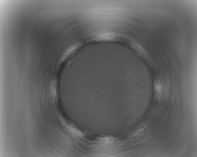 X0000062150396200512161240