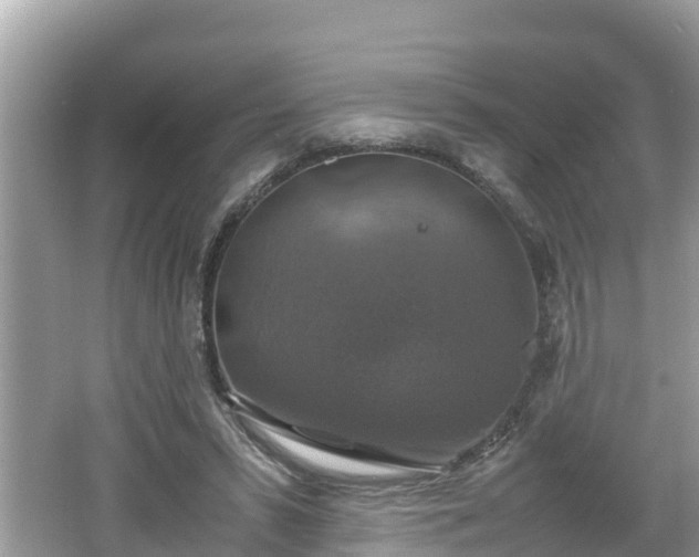 X0000062150399200512161240